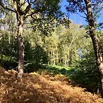 דירה Panoramablick *