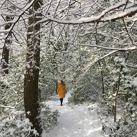 Panoramablick 아파트 *