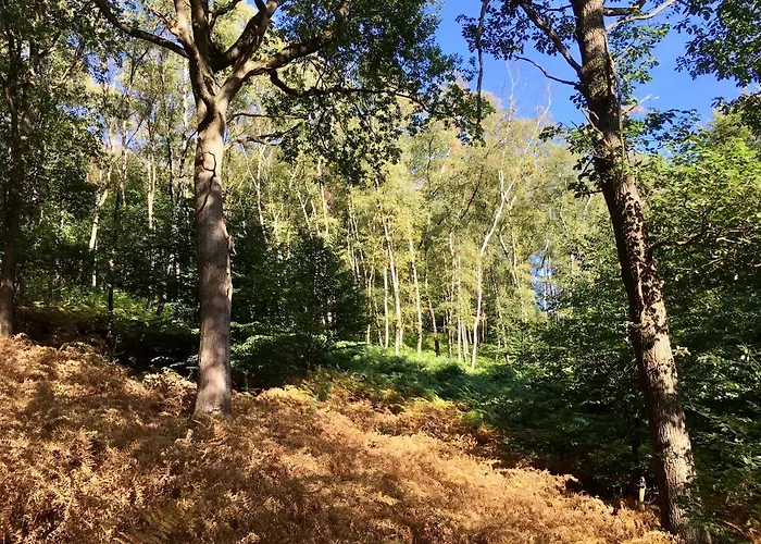 아파트 Panoramablick *