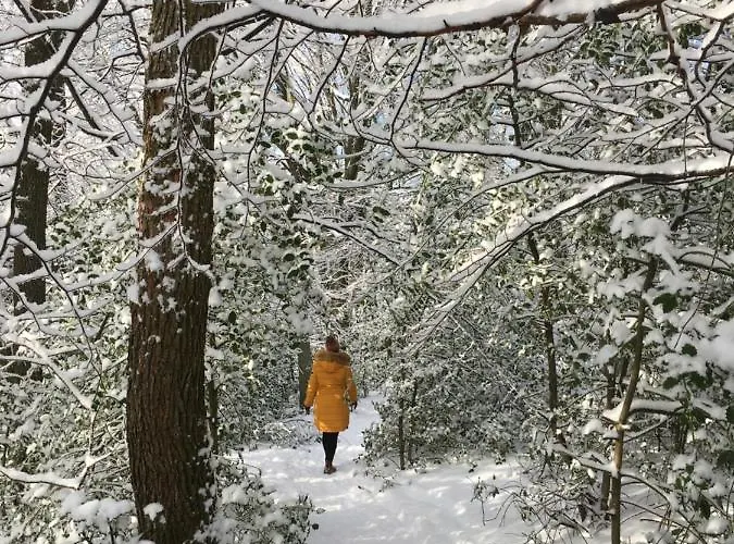 Panoramablick Apartment *